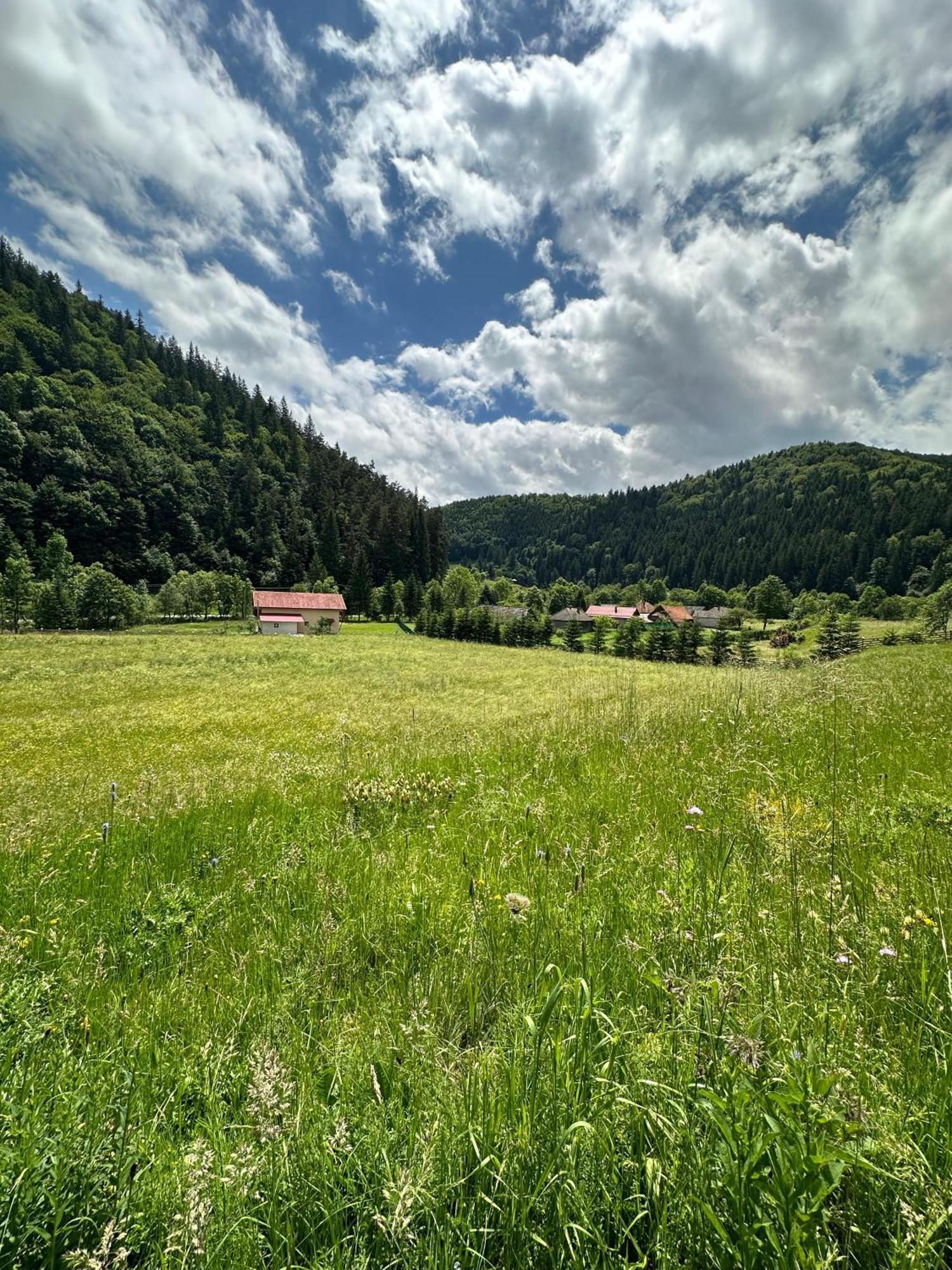 Chalet Vama *