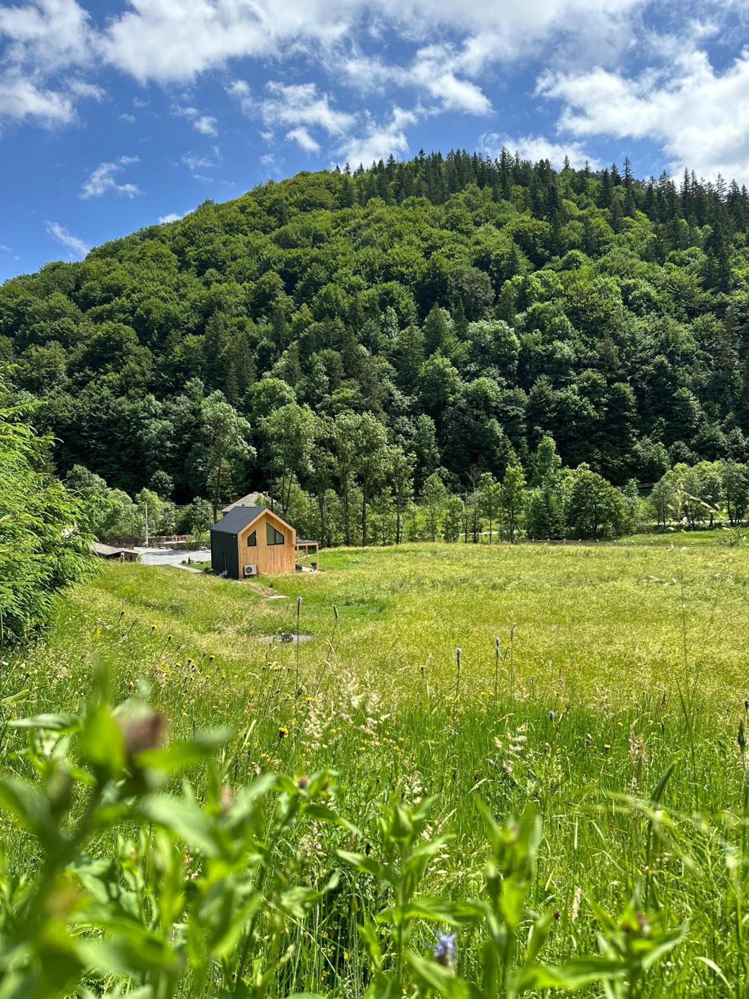 Chalet Vama Vama Buzaului
