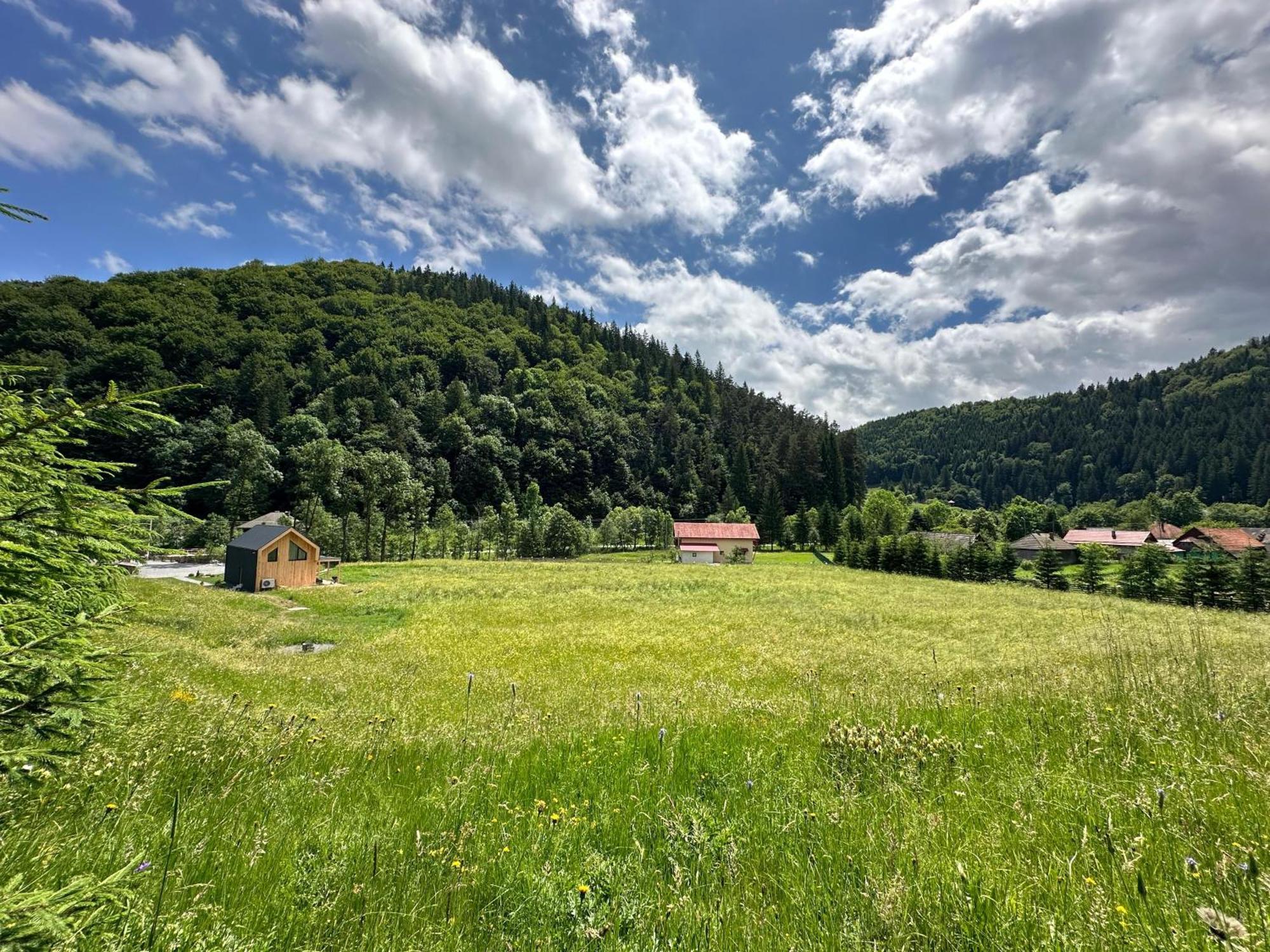 Chalet Vama Vama Buzaului